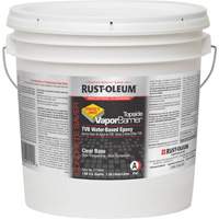 Rust-Oleum 277494 Topside Vapour Barrier, 2 Gal., Water-Based, Transparent, Clear