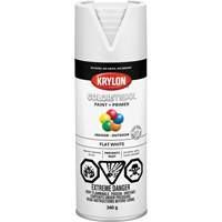 Krylon Industrial 455480007 COLORmaxx Paint + Primer, White, Very Flat, 12 oz., Aerosol Can