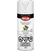 COLORmaxx™ Paint + Primer, White, Very Flat, 12 oz., Aerosol Can KR753 | TENAQUIP