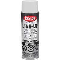 Krylon Industrial 458860008 Peinture de marquage professionnelle &agrave; base de solvant, Blanc, 18 oz, Canette a&eacute;rosol