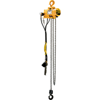 Budgit<sup>®</sup> Air Chain Hoists  LS915 | TENAQUIP