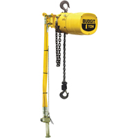 Budgit 911683C Budgit&reg; Series 6000 Air Hoists