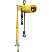 Budgit<sup>®</sup> Series 6000 Air Hoists  LS927 | TENAQUIP