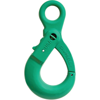 Alloy Steel Eye-Type Self-Locking Hooks  LT288 | TENAQUIP