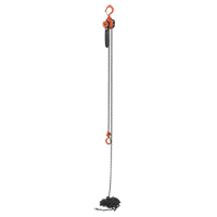 Vestil ELH-05-20 Mini palan &agrave; levier, Lev&eacute;e 20', Cabacit&eacute; 500 lb (0,25 tonne), Chaîne en Acier