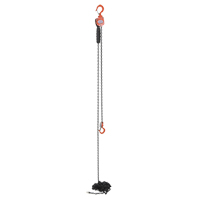 Vestil ELH-05-20 Mini palan &agrave; levier, Lev&eacute;e 20', Cabacit&eacute; 500 lb (0,25 tonne), Chaîne en Acier