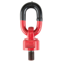 Lifting Swivel Hoist Rings, M16, 35 mm Thread Length, Alloy Steel  LU823 | TENAQUIP