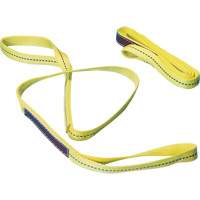Sky Hook 8510-6 Nylon Sling, Double Ply, Double Eye, Type 3, 1" W x 6' L, 1000 lbs. Vertical Load Limit