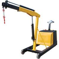 Electric Powered Floor Crane, 8.8' Lift, 1500 lbs. (0.75 tons), 44-1/4" Arm, 62-1/4" H  LW306 | TENAQUIP