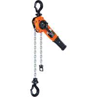 Series 653™-A Ratchet Lever Hoist, 10' Lift, 1500 lbs. (0.75 tons) Capacity, Steel Chain  LW428 | TENAQUIP