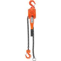 Lever Hoist, 5' Lift, 3000 lbs. (1.5 tons) Capacity, Alloy Steel Chain LW564 | TENAQUIP