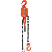 Lever Hoist, 5' Lift, 3000 lbs. (1.5 tons) Capacity, Alloy Steel Chain LW564 | TENAQUIP