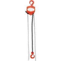 Chain Hoist, 20' Lift, 4000 lbs. (2 tons) Capacity, Alloy Steel Chain LW576 | TENAQUIP