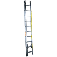 Industrial Heavy-Duty Extension Ladders, 300 lbs. Cap., 39' H, Grade 1A VC040 | TENAQUIP