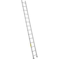 Industrial Heavy-Duty Straight Ladders, 14', Aluminum, 300 lbs., CSA Grade 1A MD509 | TENAQUIP