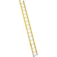 Single Section Straight Ladder - 6100 Series, 14', Fibreglass, 375 lbs., CSA Grade 1AA  MF383 | TENAQUIP