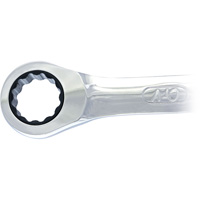 JET 701164 Non-Reversible Long Pattern Ratcheting Combination Wrench, 19 mm, Plain Finish
