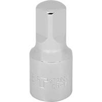JET 672904 Barre rallonge SA1203, Prise 1/2", 2" lo