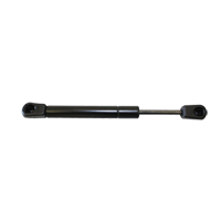 NMT Systems NSG1719S20PC1 Standard Gas Spring