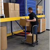 Vestil FAPT-1628 Fold-Up Platform Truck, Stainless Steel, 300 lbs., 28" L x 16" W, 33-1/2" High