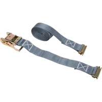 Vanguard Steel 37096216 Tendeur d'arrimage &agrave; cliquet, Syst&egrave;me E-Track, 2" , 16' , Charge d'utilisation max. 1333 lb (605 kg)