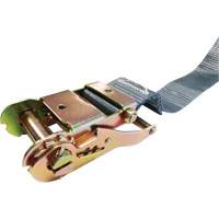 Vanguard Steel 37096216 Tendeur d'arrimage &agrave; cliquet, Syst&egrave;me E-Track, 2" , 16' , Charge d'utilisation max. 1333 lb (605 kg)