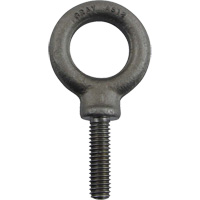 Gray Tools AS12 Alloy Steel Eye Bolt, 1" Dia., 1-1/4" L, 1480 lbs. (0.74 tons)/1480 lbs. Capacity