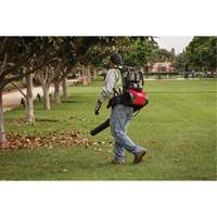 Milwaukee 3009-24HD M18 FUEL Dual Battery Backpack Blower Kit, 18 V, 155 MPH Output, Battery Powered