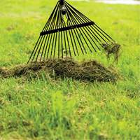 Garant 85650 Lawn Rake, 24 Tines, Hardwood Handle, Steel Blade