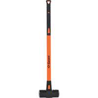 Garant DF1234FGP Masse &agrave; deux faces, 12 lb, 36", Prise Fibre de verre