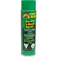 Hornet & Wasp Killer, 325 g, Aerosol Can  NE456 | TENAQUIP