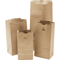 Paper Bags, Paper, 5-1/4" W x 10-1/2" L NG393 | TENAQUIP