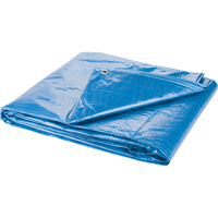 Tarp, Standard Duty, Blue, 16' x 10' x 4 mils NN378 | TENAQUIP