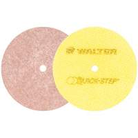 Walter Surface Technologies 07T507 Quick-Step Instant Polish Discs, 5" Dia.