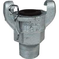 Dixon Group AM12 Embout Air King, Fer, 1", NPT m&acirc;le, 150 psi