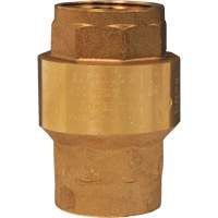 Spring-Loaded Check Valve  NJE662 | TENAQUIP