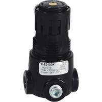Dixon Group R03-01R Wilkerson Miniature Regulator R03, 1/8" NPT, 300 psi Max. PSI, Standard