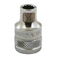 Dynamic Tools D009432 Douille SAE, 1", Prise 3/8", 12 pans