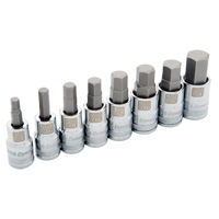 Dynamic Tools D018018 Jeu de douilles SAE standards, 8 mrcx