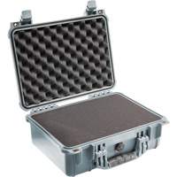 Pelican 1450-000-180 Protector Case