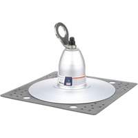 3M DBI Sala Protection Contre Les Chutes 2100142 Ancrage pour sommet de toiture DBI-SALA, Boulonn&eacute;, Usage Permanent