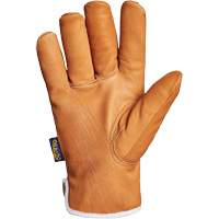 Superior Glove Works Ltd. 378GKGDT-L Gants Endura, Grand, Paume en Synth&eacute;tique, Doublure en Thinsulate