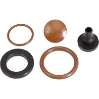 Smith Performance Sprayers 182656 Pump Service Kit