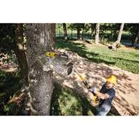 DEWALT DCPS620B MAX* XR Cordless Polesaw
