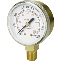 Brass Gauge, 2" , 100 psi, Bottom Mount, Analogue NT616 | TENAQUIP