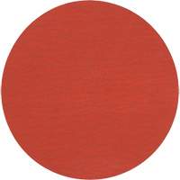 Lock Back Sanding Discs