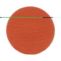 3M AB76634 Disque 777F Roloc, 3" dia., Grain 80, C&eacute;ramique