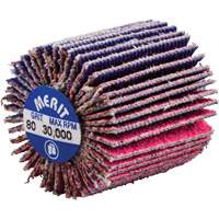 Norton 69957339720 Mini-meule &agrave; lamelles filet&eacute;es, C&eacute;ramique d'alumine, Grain 80, 1" x 1" x 1/4"-20