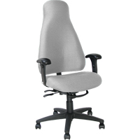 Multi-tilt Executive High Back Office Chair, Grey, 250 lbs. Capacity  OE109 | TENAQUIP