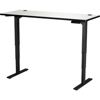 Safco 1960GRBL Electric Height-Adjustable Table, Stand-Alone Desk, 50" H x 60" W x 24" D, Grey